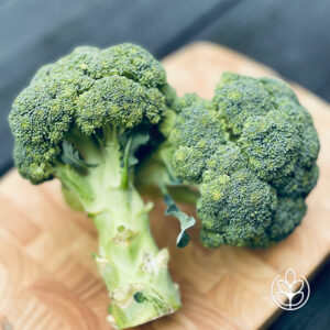 Bio Broccoli